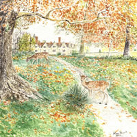 Two Deer at Knole