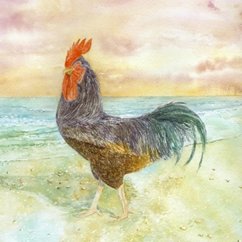 Beachcomber