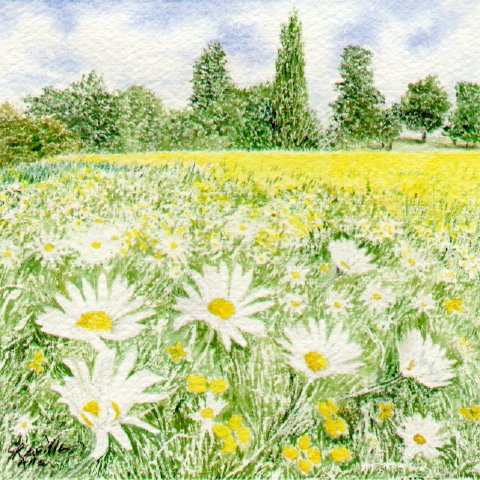 Daisy Chain
