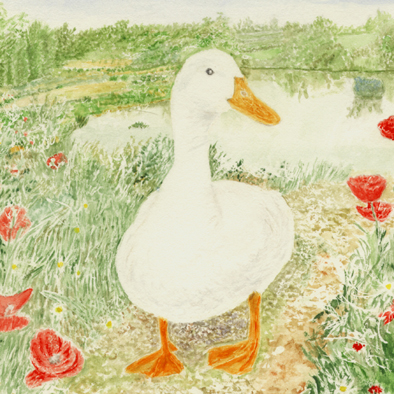 Quacker
