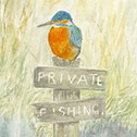 See details for Life in the Pertinent Perch here