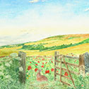 See details for A World Beyond With Hare here