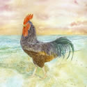 See details for Beachcomber here