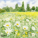 See details for Daisy Chain here
