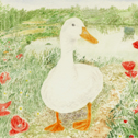 See details for Quacker here