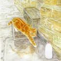 See details for Semi-Skimmed here
