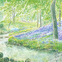 See details for Woodland Stream here.