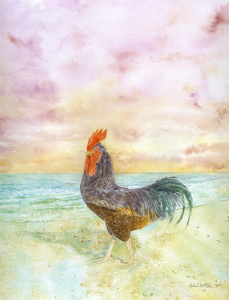 Beachcomber