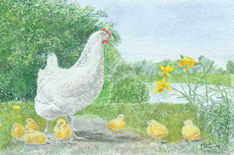 The Happy Brood