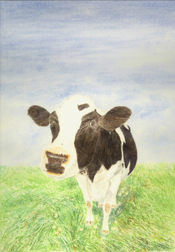 Moody Cow