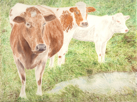 The Watering Hole