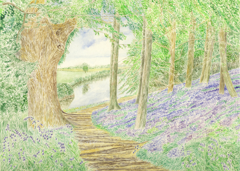 A Walk in the Woods