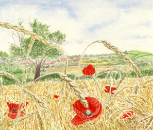 Harvest Time