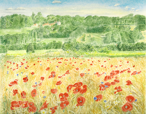 Height of Summer