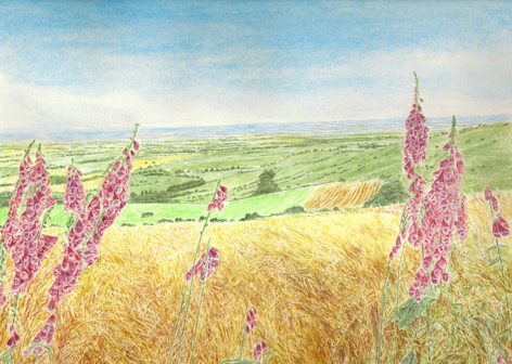 The Long View