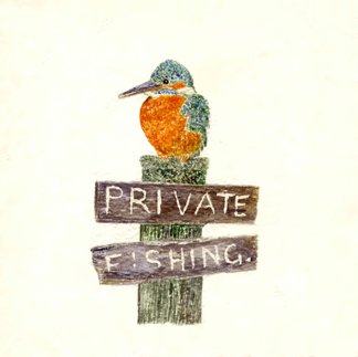 Pertinent Perch