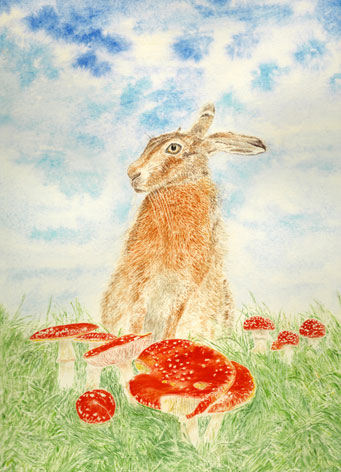 Hallucinating Hare