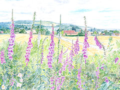 See details for Dreaming Spires here