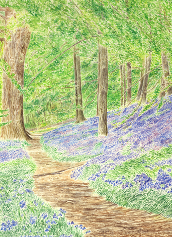 See details for Bluebell Wood here