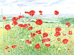 See details for Hilltop Poppies here