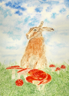 See details for Hallucinating Hare here