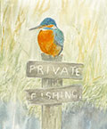 See details for Pertinent Perch here