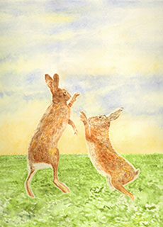 See details for Hallucinating Hare 