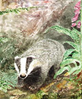 See details for Right to Roam