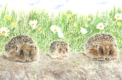 See details for Road Hogs with Todder