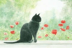 See details for Scarlet & Black here