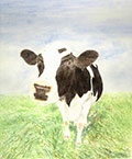 See details for Moody Cow