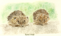 See details for Road Hogs here
