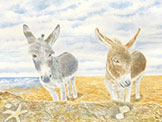 See details for Sanctuary here