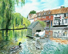 See details for Village Pond here